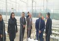 بهره‌برداری از گلخانه شیشه‌ای و تمام‌اتوماتیک تولید خیار در شهرستان تبریز