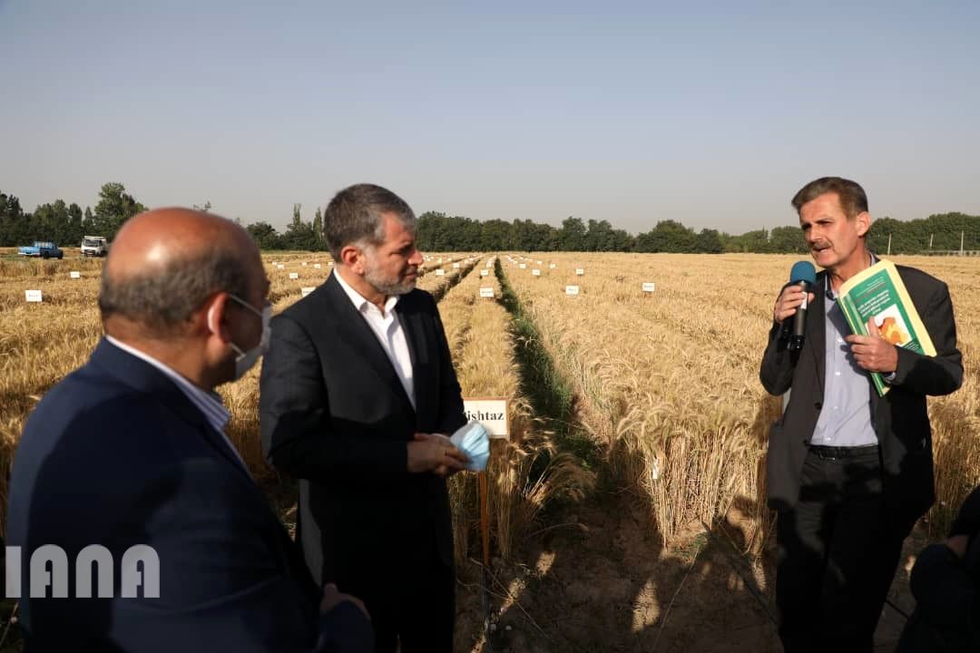 WhatsApp Image 2022-06-14 at 10.06.35 AM