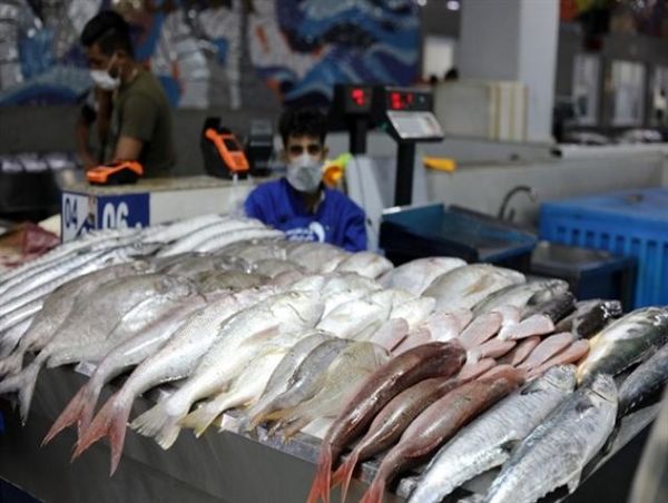 آبزیان کالای مکمل گوشت قرمز و مرغ در سبد خانوارهای کم درآمد