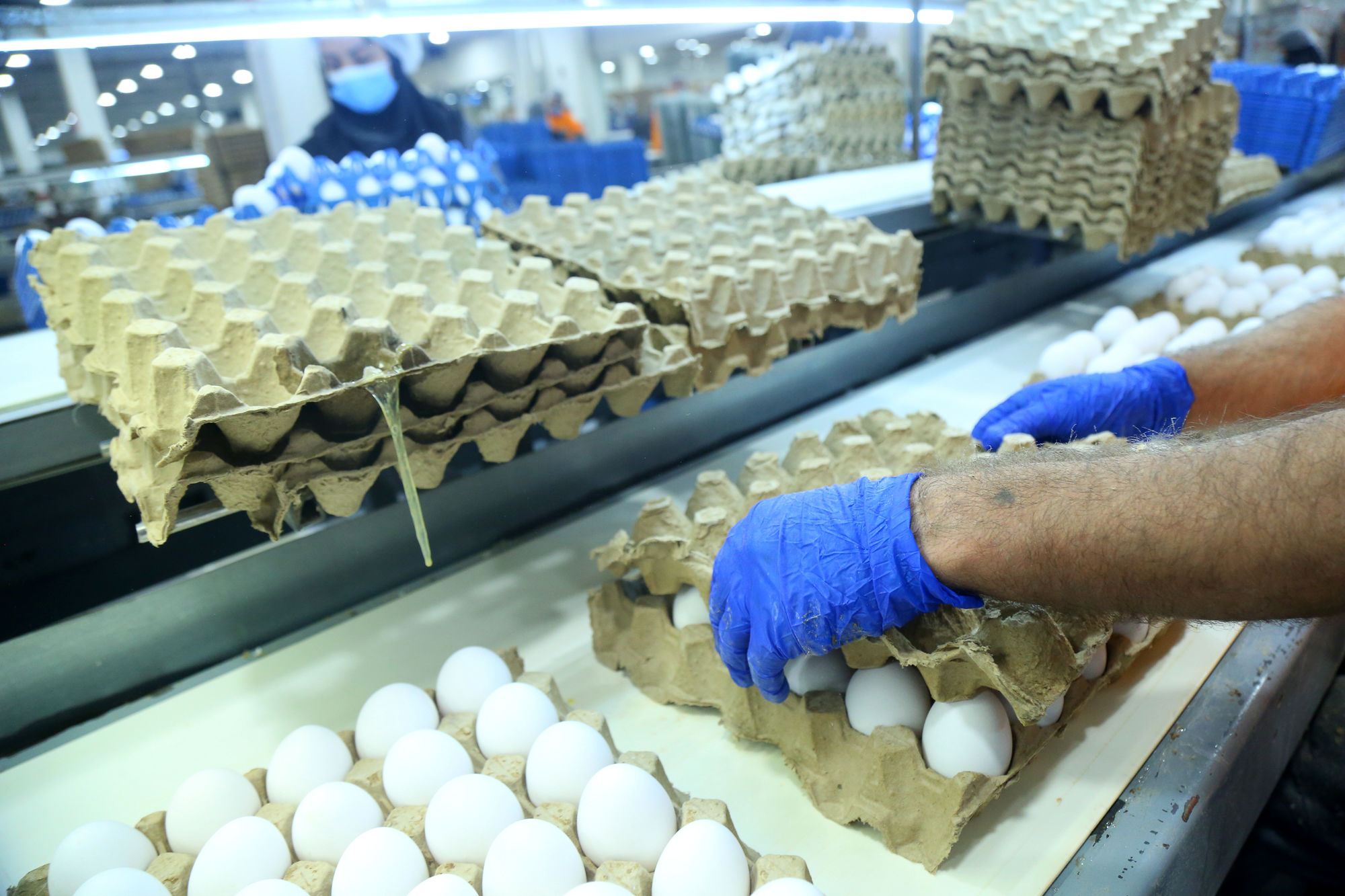 تور رسانه ای به مناسبت هفته دامپزشکی 