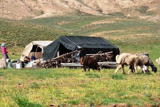 کوچ عشایر یزد به مناطق ییلاقی آغاز شد