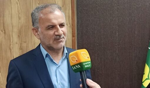 برنامه‌های توسعه کشور اساساً رویکرد جنسیتی نداشتند/ تدوین سند زنان روستایی با محور خانواده، فرهنگ و تولید