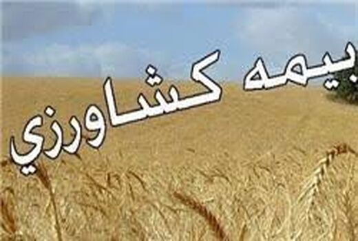 برگزاری کارگاه آموزشی بیمه کشاورزی در استان بوشهر