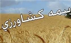 برگزاری کارگاه آموزشی بیمه کشاورزی در استان بوشهر