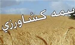 برگزاری کارگاه آموزشی بیمه کشاورزی در استان بوشهر
