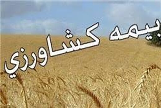 برگزاری کارگاه آموزشی بیمه کشاورزی در استان بوشهر