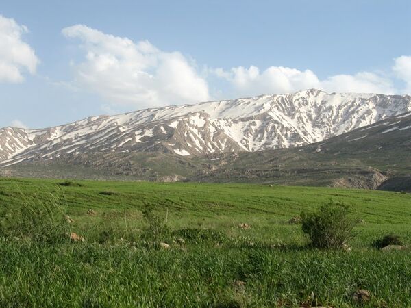 طرح ۵۵۰ هکتاری کشت گیاهان دارویی دشت زرین شهرستان کوهرنگ کلید خورد