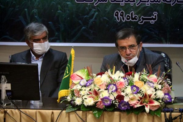 تلاش برای دستیابی به خودکفایی تولید ذرت در خوزستان 