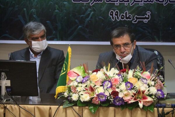 تلاش برای دستیابی به خودکفایی تولید ذرت در خوزستان 