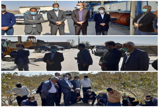 بازدید رئیس انجمن پسته ایران از باغات پسته فردوس