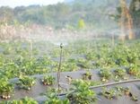 مدل ایرانی برای پس‌انداز واقعی آب در کشاورزی