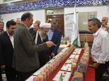 توسعه و تجاری‌سازی ارقام جدید اقدامی راهبردی برای ارتقای تاب‌آوری تولید و تضمین امنیت غذایی 