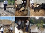 کشاورزان خسارت دیده از سیل، خسارات وارده را به مراکز خدمات و یا مدیریت جهاد کشاورزی شهرستان گزارش کنند
