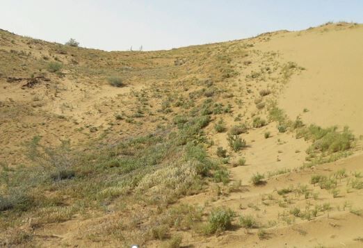 بیابان‌زایی خراسان شمالی رشدی فزاینده دارد