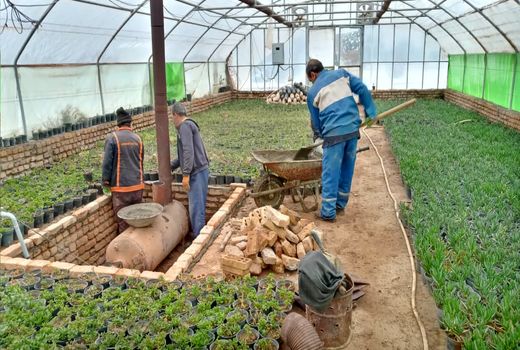 اختصاص ۴۰ هزار میلیارد ریال تسهیلات برای توسعه گلخانه‌ها در سال جهش تولید