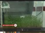 ساخت گلخانه هوشمند در چهارمحال وبختیاری