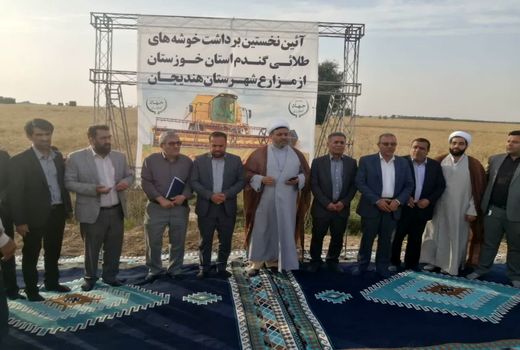 آغاز برداشت گندم خوزستان از مزارع هندیجان