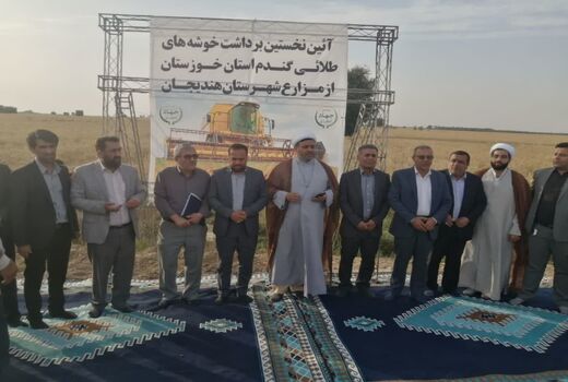 آغاز برداشت گندم خوزستان از مزارع هندیجان