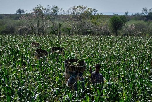 تبادل دانش با تولیدکنندگان افزایش بهره‌وری را به همراه دارد