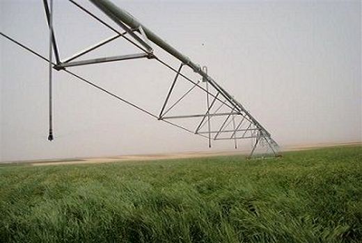 تخصیص مبلغ 480 میلیارد ریال اعتبار از محل کمک های فنی و اعتباری توسعه سامانه های نوین آبیاری به استان زنجان