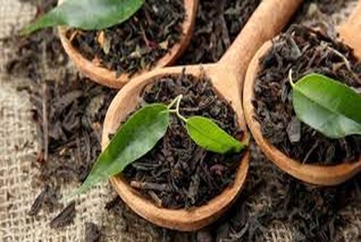 واریز 13 میلیارد تومان از مطالبات چایکاران