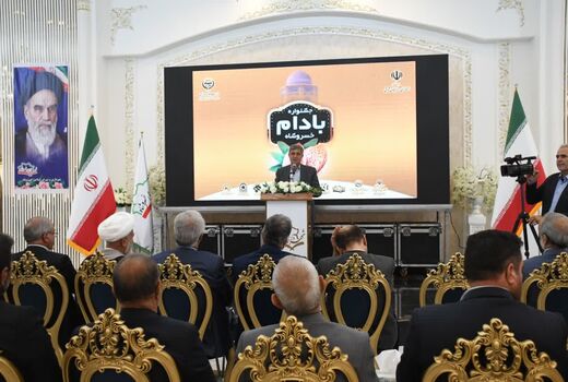 ازخسروشاه تا شبستر؛ 8 هزار و 586 هکتار باغ بادام در آذربایجان شرقی زیرسایه الگوی جدید کشت