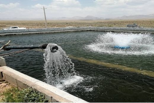 راه اندازی سه واحد پرورش ماهی سردابی در سرچهان