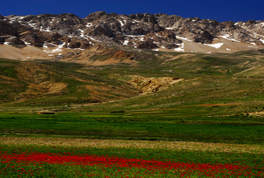 گردشگری کشاورزی حلقه مفقوده توسعه استان همدان