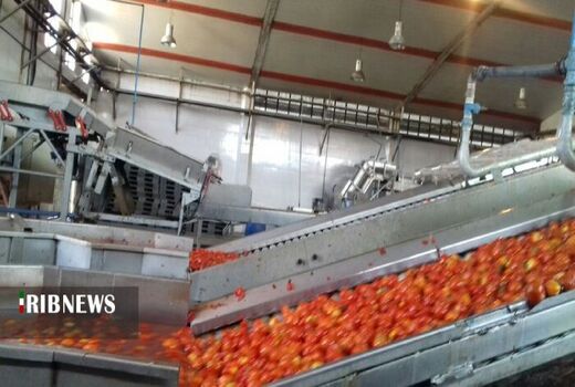 کردستان بهشت کشاورزی ایران زمین/جهش صنایع تبدیلی لازمه صادرات