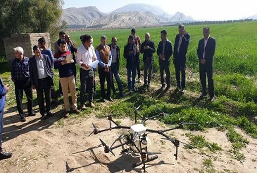 مزارع قیروکارزین با پهباد سم پاشی شدند