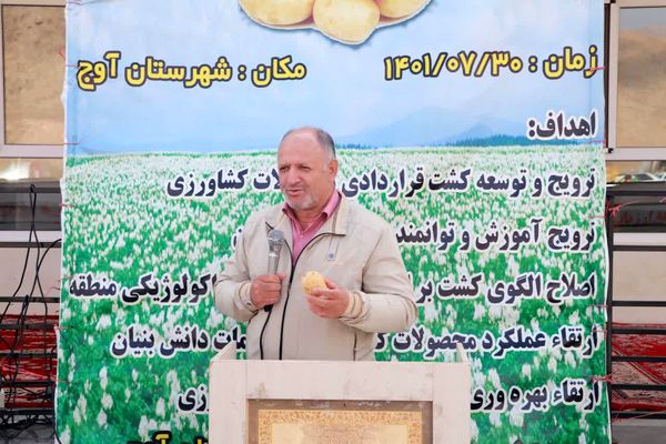 برنامه کشت قراردادی سیب زمینی تا یک هزار هکتار برای استان قزوین