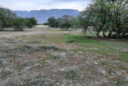 کهور آمریکایی؛ قهرمان دیروز، تهدید امروز