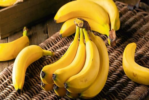 اجرای اولین گلخانه مدرن موز در یزد
