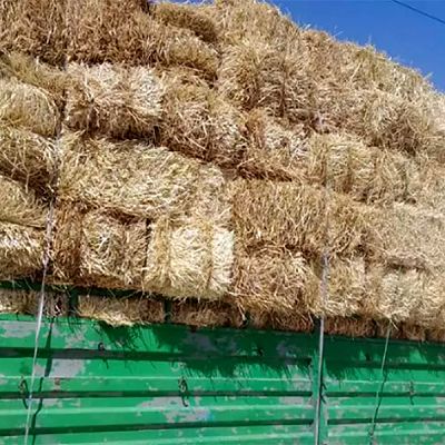 جمع آوری بیش از 200 هزار تن کاه در مرودشت