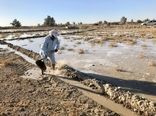 آبگیری مزارع کشاورزان ازطرح 46 هزارهکتاری انتقال آب بالوله به دشت سیستان آغازشد