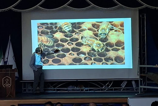 همایش زنبورداران کشور در مراغه، گامی بلند در مسیر مدرن‌سازی و توسعه صادرات طلای شیرین ایران