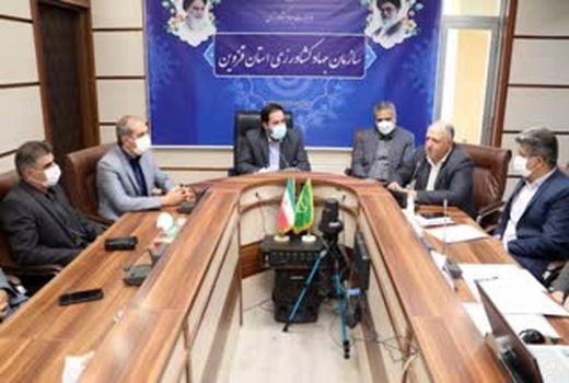 30هزار هکتار از مزارع گندم دیم استان قابل برداشت نیست 