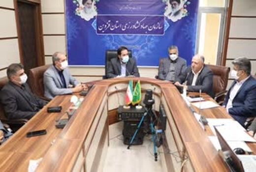 30هزار هکتار از مزارع گندم دیم استان قابل برداشت نیست 