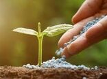 افزایش ذخیره کودهای کشاورزی در استان بوشهر