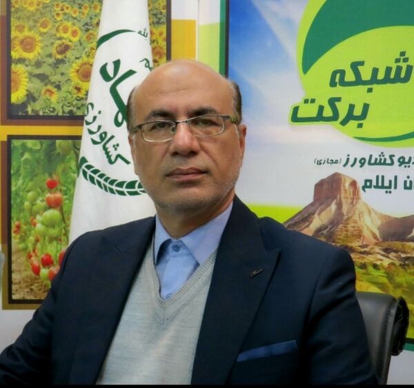تولید گوشت در استان ایلام بیش از ۱۳ هزار تن است