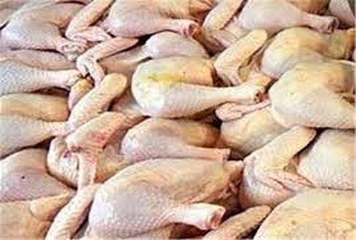 افزایش 24 درصدی میزان تولید مرغ در خراسان شمالی