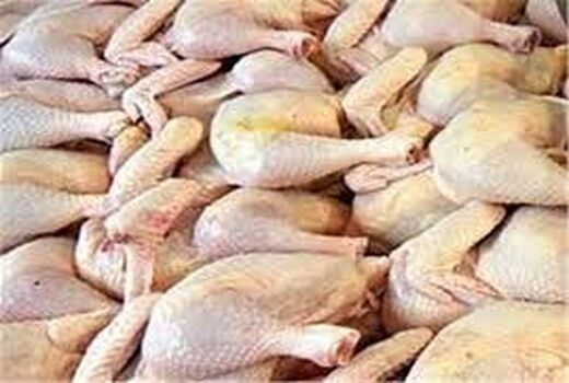 افزایش 24 درصدی میزان تولید مرغ در خراسان شمالی