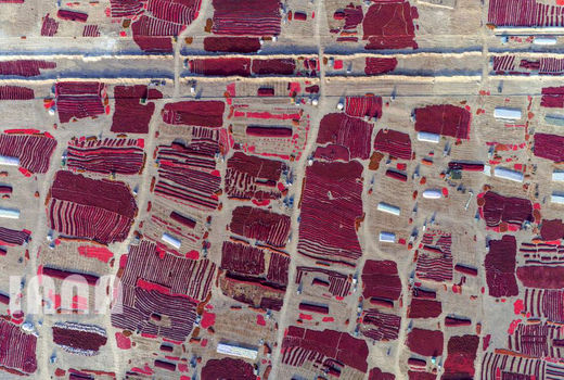 هندسه کشاورزی