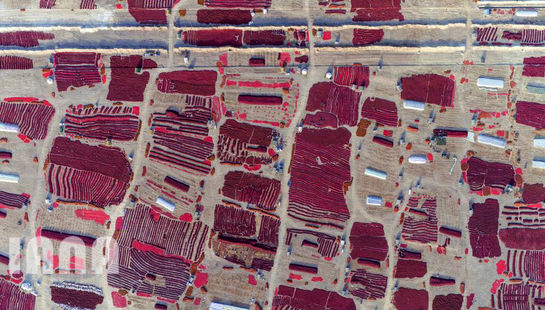 هندسه کشاورزی