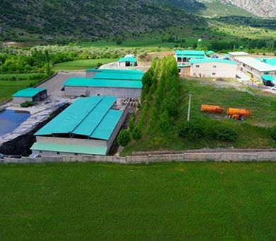 بهره برداری از واحد تولید کمپوست گیاهی در استان کردستان با حمایت بانک کشاورزی