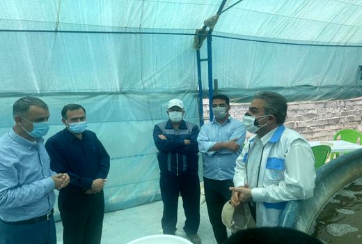 نظارت اداره کل دامپزشکی بر تمامی مراکز پرورش میگو در استان خوزستان