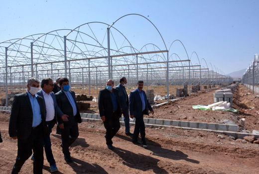 برنامه ریزی برای توسعه 250هکتاری گلخانه های شهرستان هریس با وجود سرمایه گذاران و صادرکنندگان 