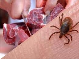 موردی از ابتلای دام به تب کریمه کنگو گزارش نشده است
