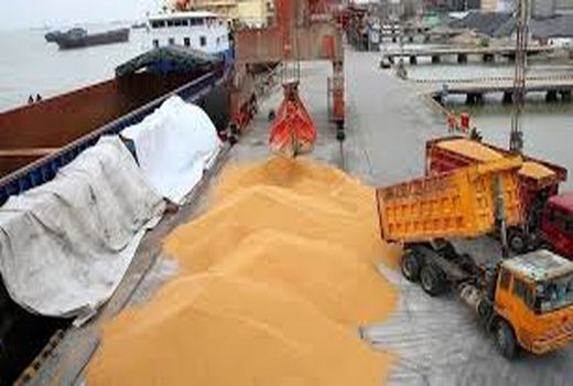 پهلوگیری کشتی اقیانوس پیمای 66 هزار تنی گندم در بندر امام خمینی