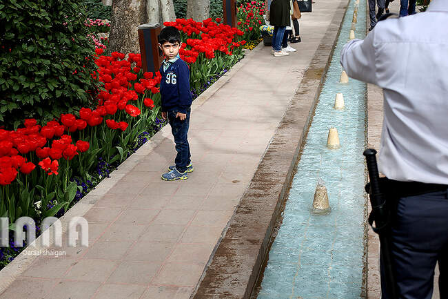 گردشگران در باغ گل ایرانی
